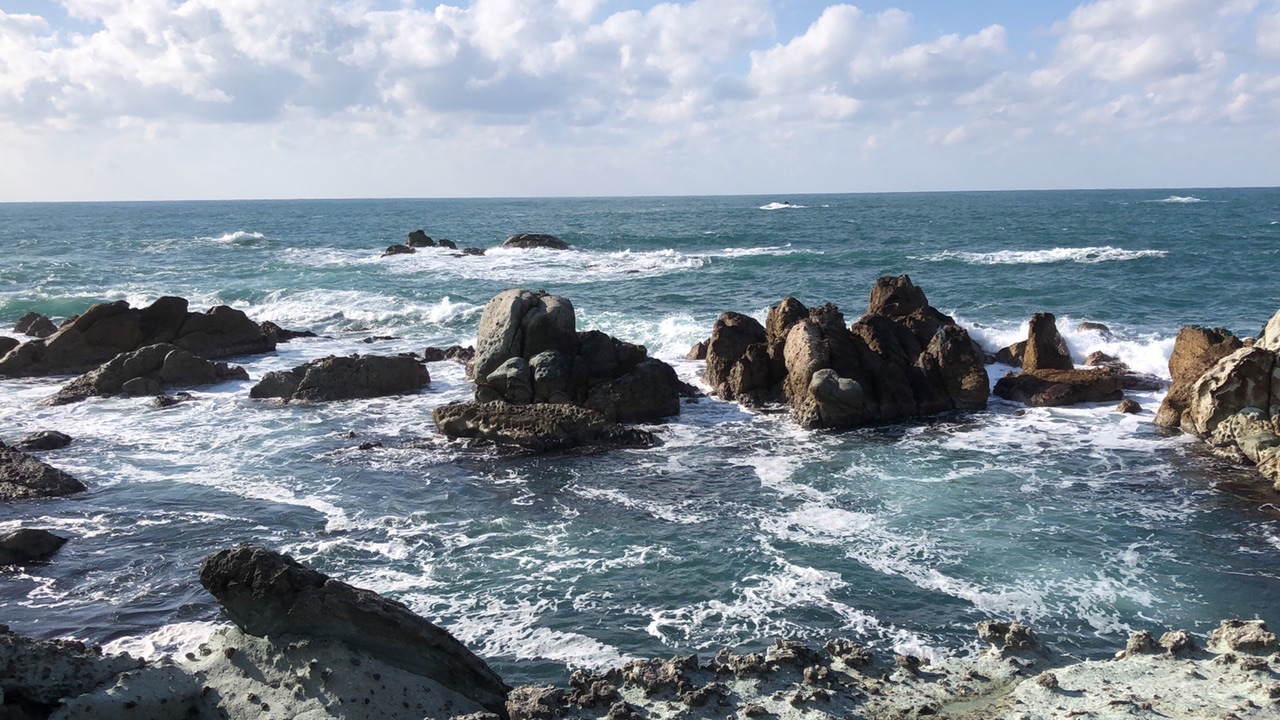 越前岬水仙ランド 21 01 31 ノブマリンさんの越知山 六所山の活動データ Yamap ヤマップ