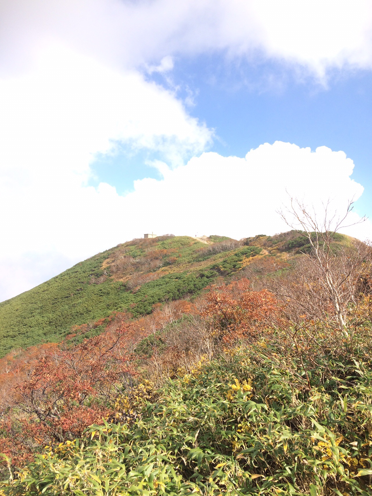 ニセコアンヌプリの斜面チェックと紅葉 19 09 30 Subaruさんのニセコアンヌプリ イワオヌプリ チセヌプリの活動日記 Yamap ヤマップ