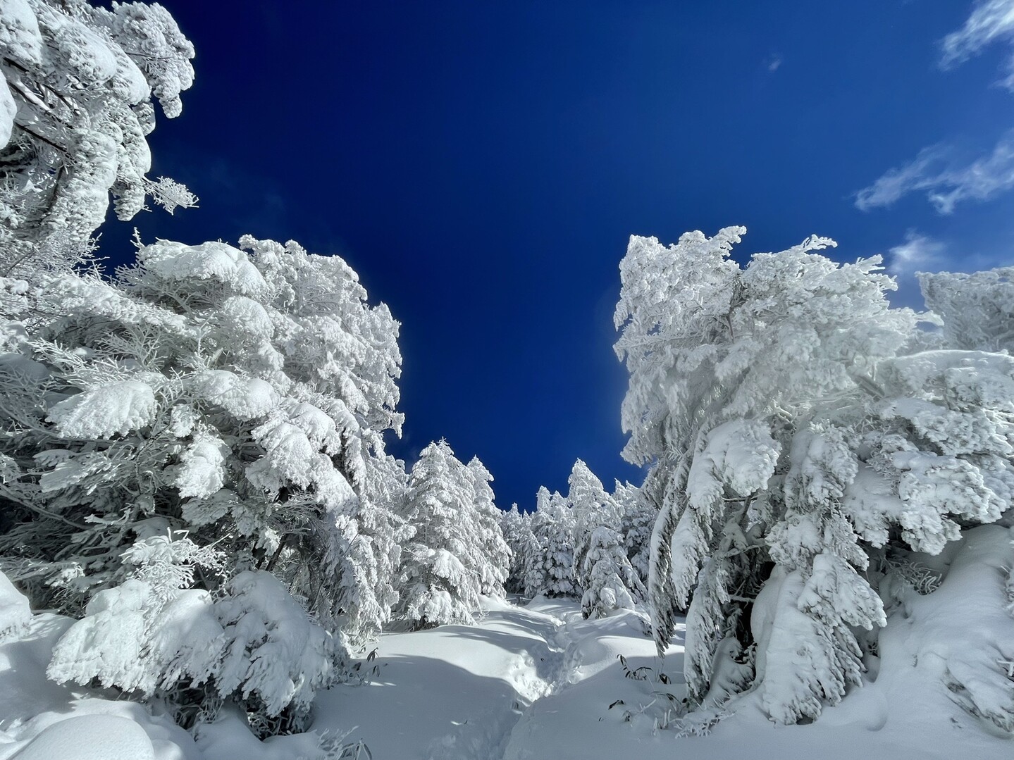 北横岳スノーハイク 下山はロープウェイで / waki0819 さんの蓼科山・横岳・縞枯山の活動データ YAMAP / ヤマップ