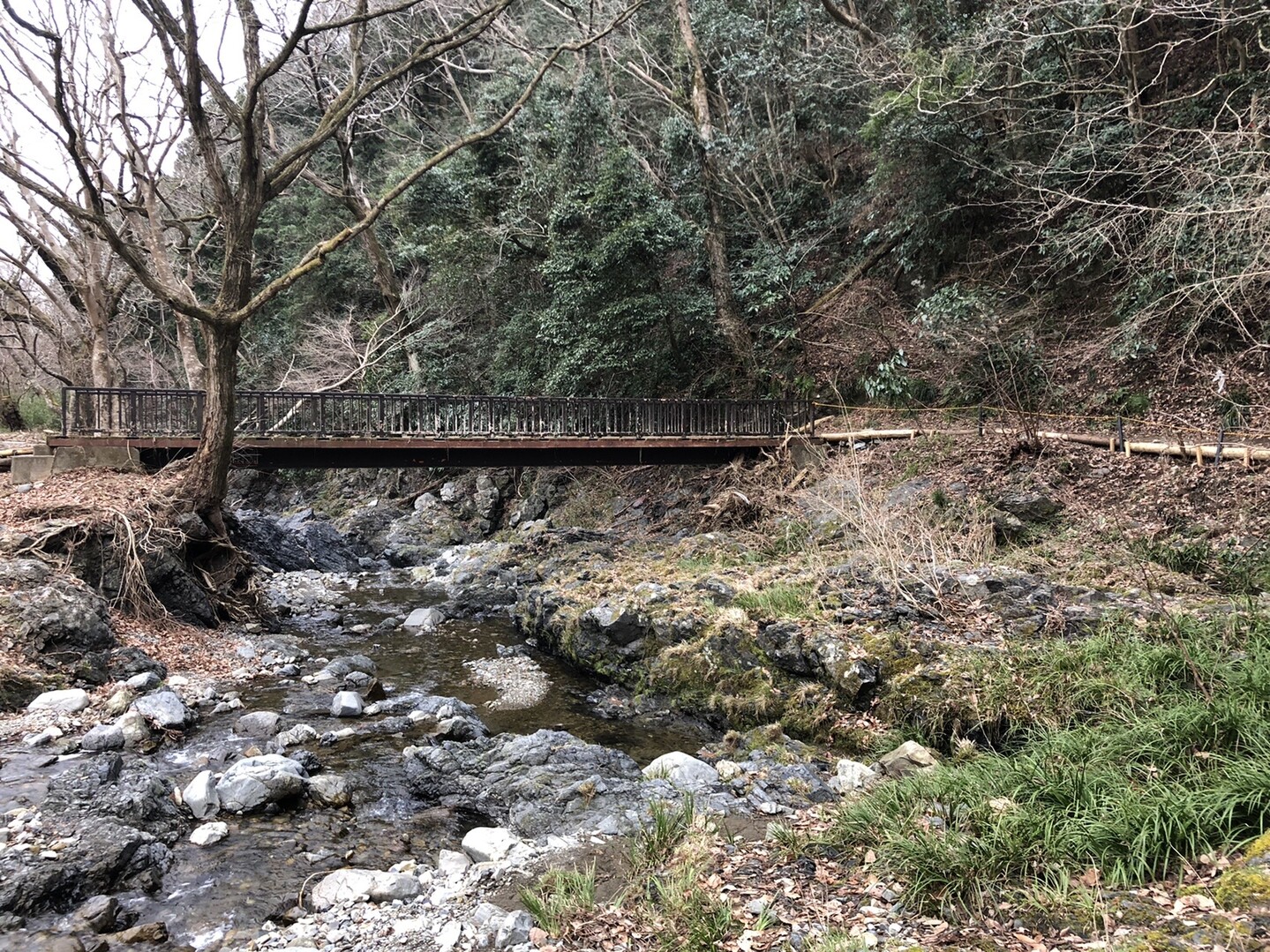 春の裏高尾 小仏川 こぼとけがわ 高尾山 陣馬山 景信山の写真1枚目 小仏川 ホタル鑑賞ポイント Yamap ヤマップ