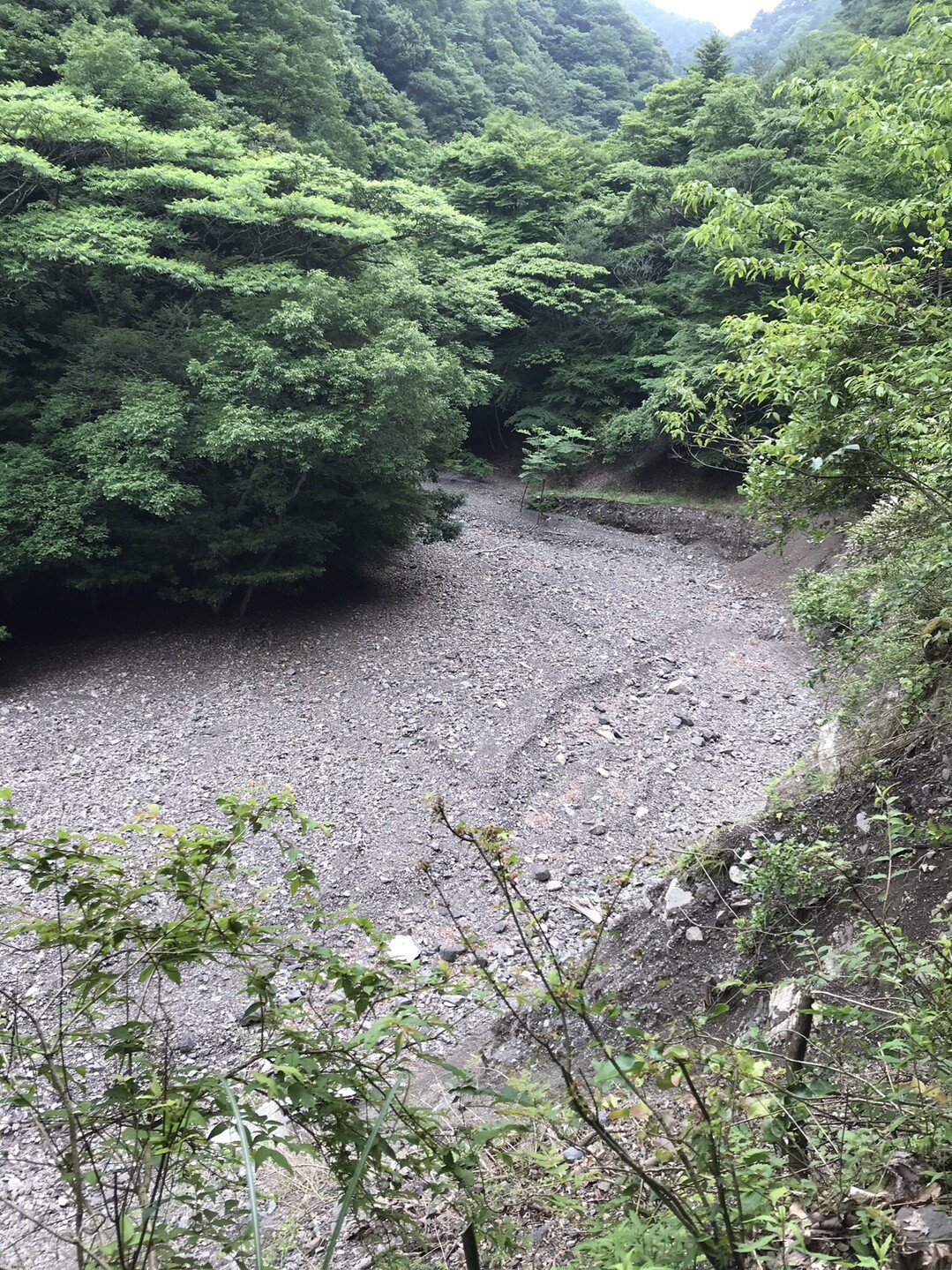 一級河川重信川上流 東温市 の河原に何か きょうくんさんの東三方ヶ森 明神ヶ森の活動日記 Yamap ヤマップ