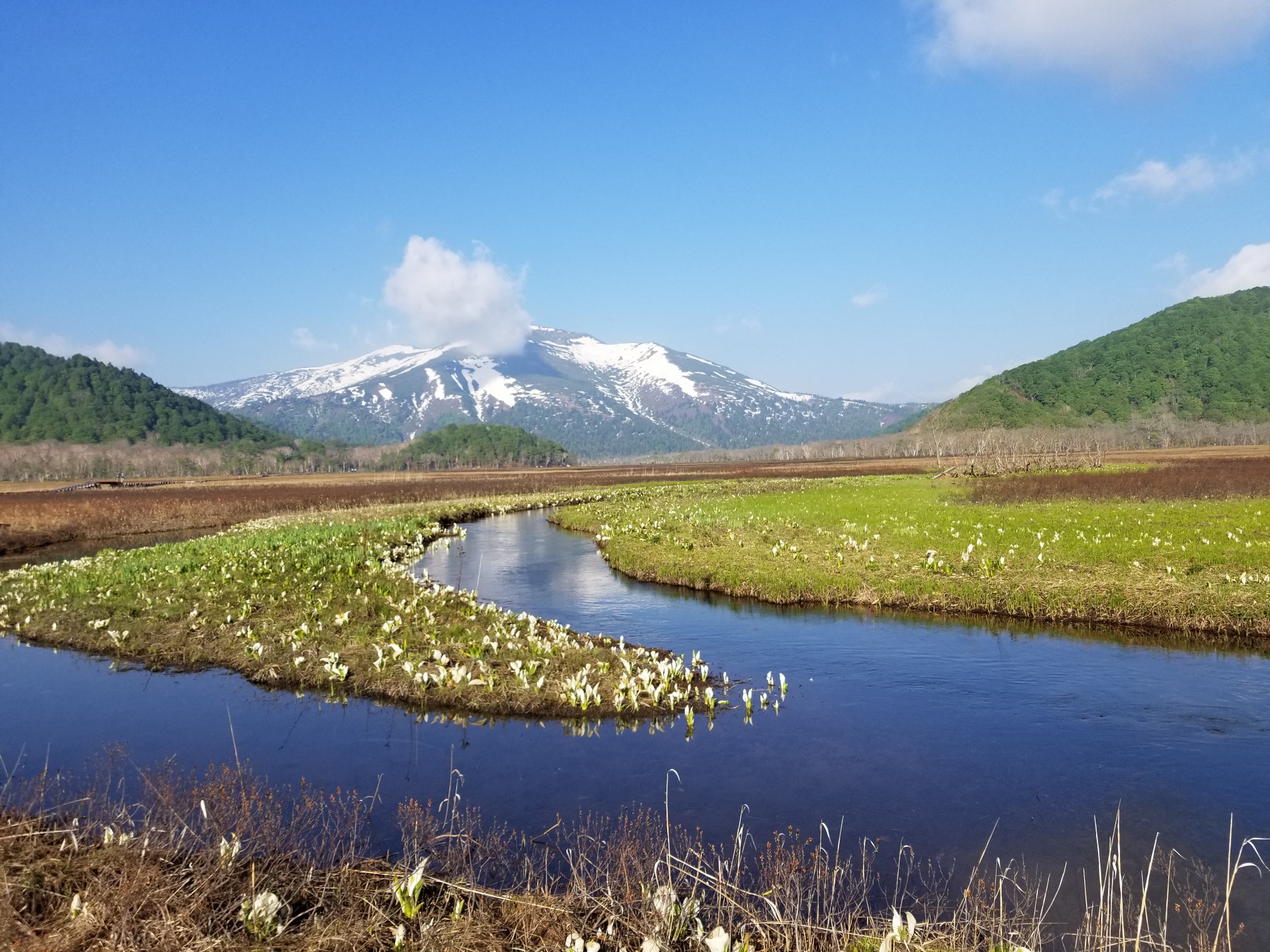 尾瀬ヶ原散策 19 06 01 藤原弟さんの尾瀬 燧ヶ岳の活動日記 Yamap ヤマップ