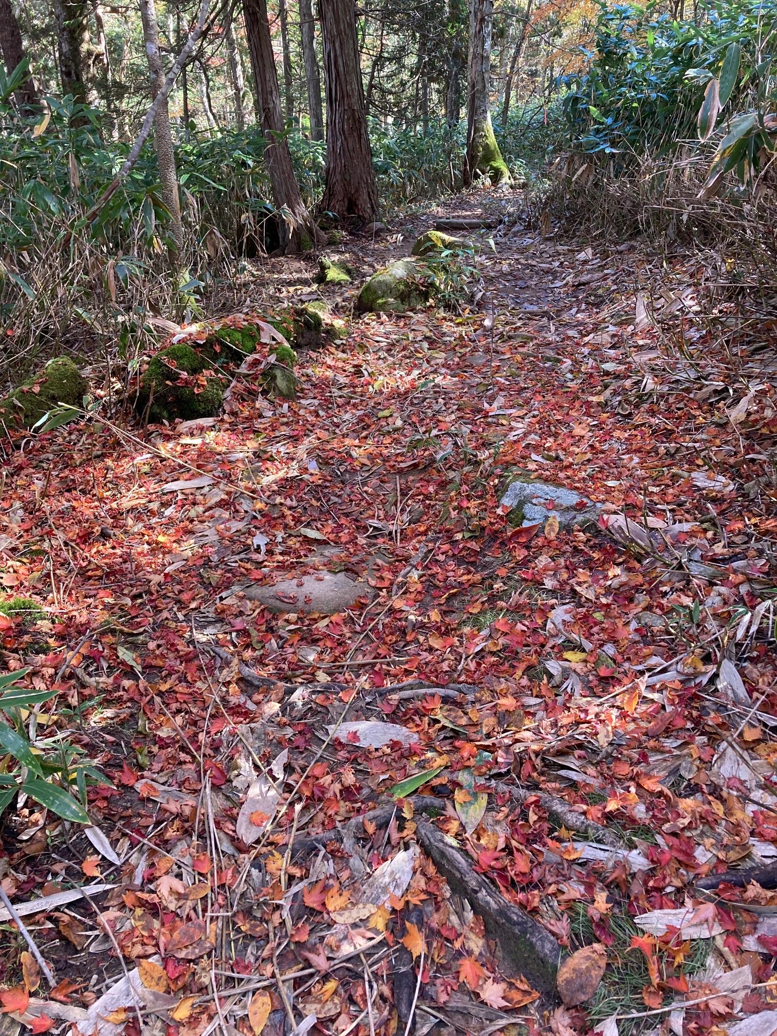 位山 / ミラニストさんの川上岳・位山・船山（飛騨富士）の活動データ YAMAP / ヤマップ