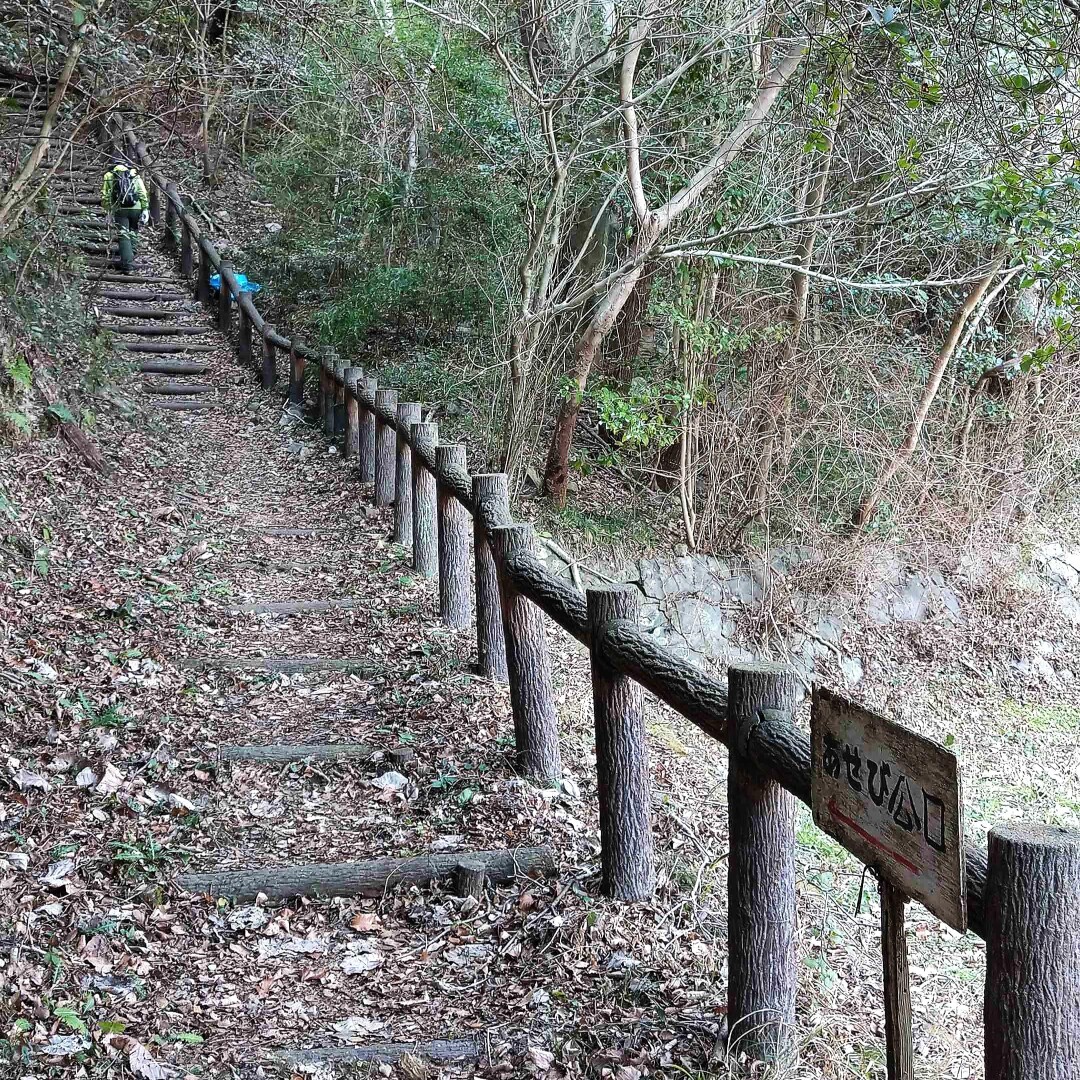 大坂峠(鳴門)ハイク ～讃岐街道を行く～ / 大山・鉢伏山の写真3枚目 / あせび公園への階段上る YAMAP / ヤマップ