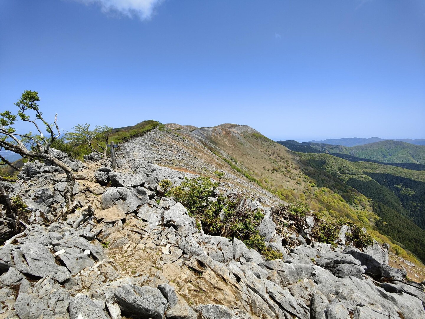 南霊岳・霊仙山最高点・霊仙山 / こばやんさんの霊仙山の活動データ YAMAP / ヤマップ