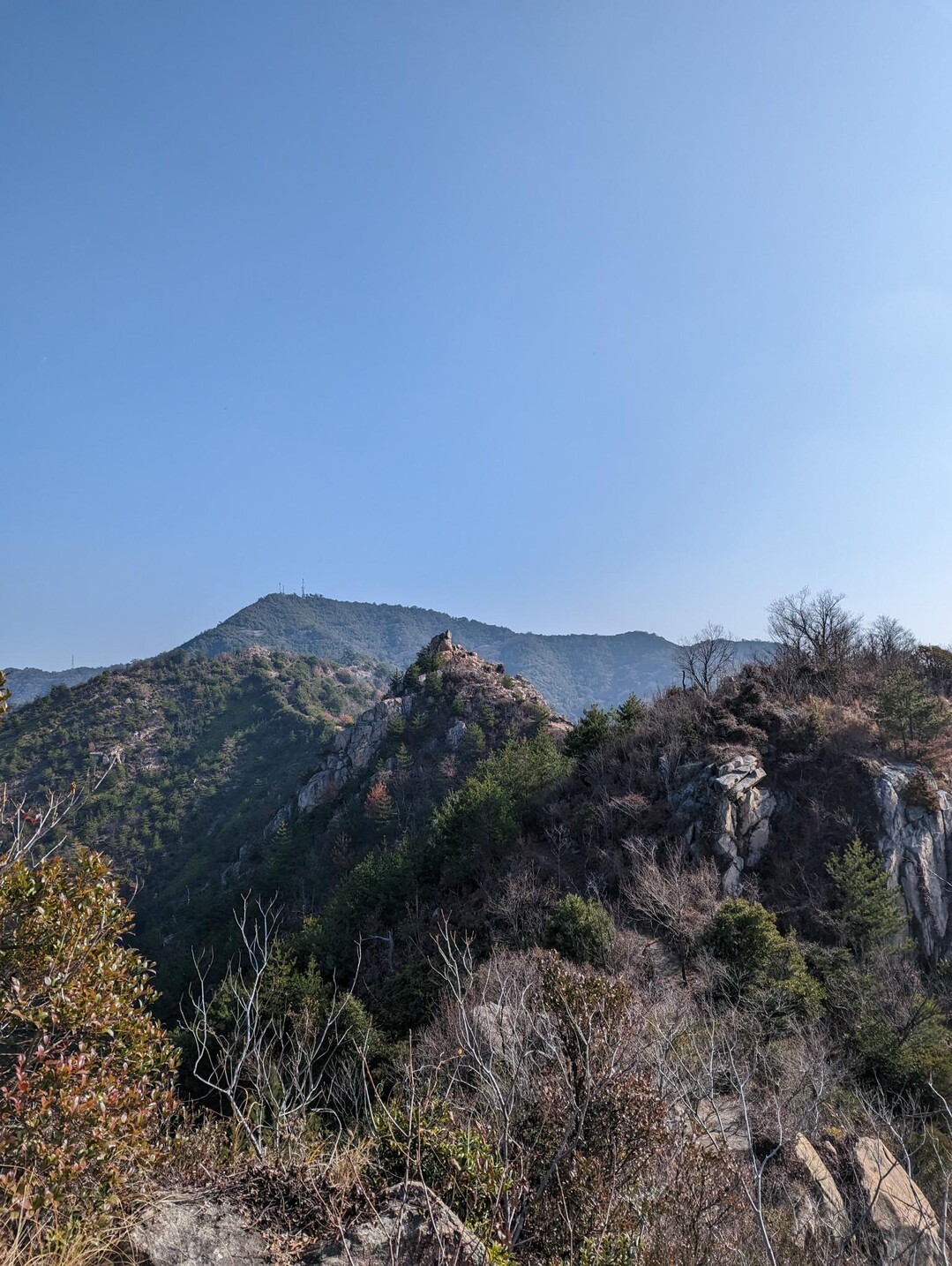安神山・鷲ヶ頭山 / ビー玉さんの鷲ヶ頭山の活動データ YAMAP / ヤマップ