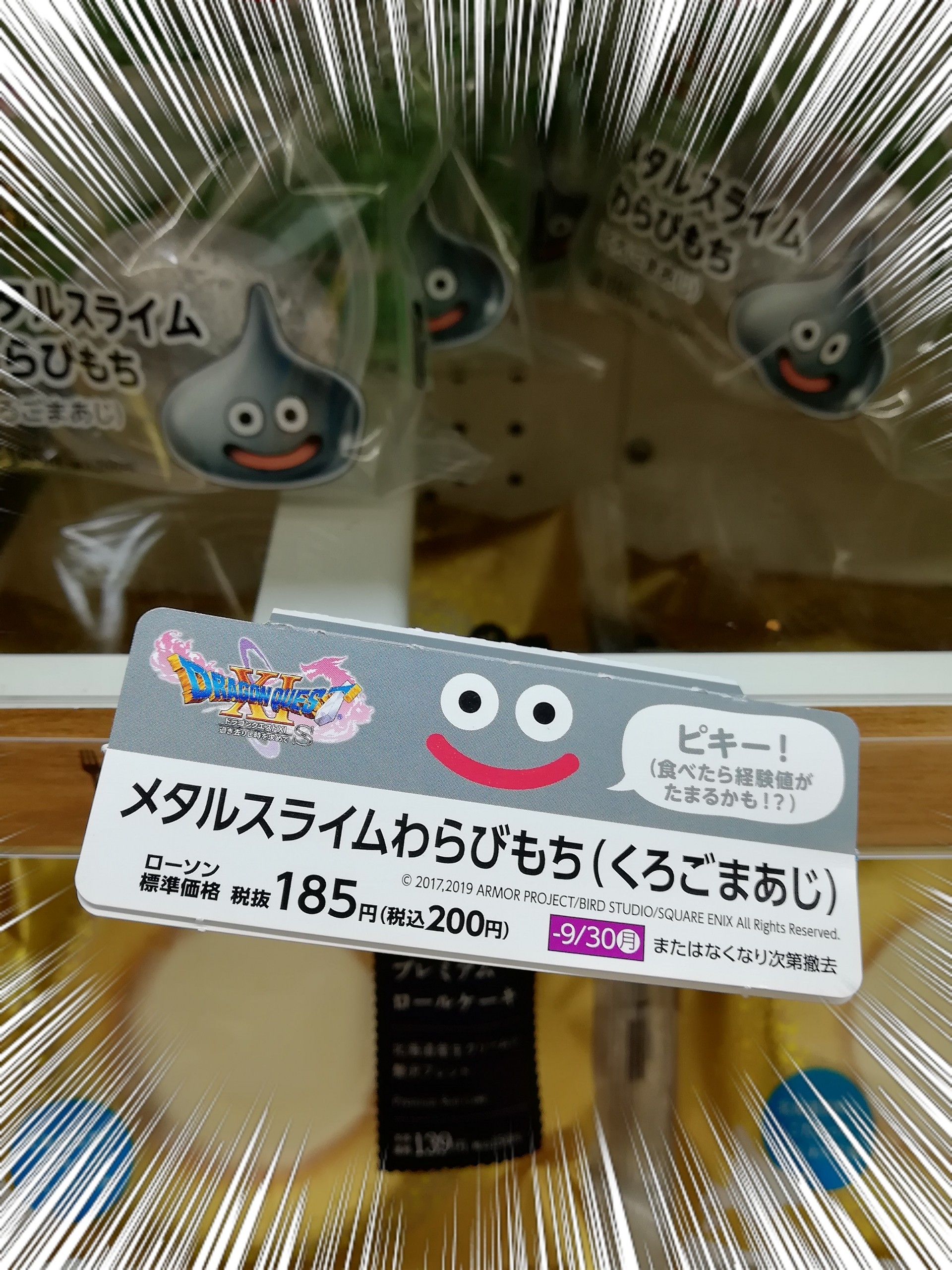 メタルスライムが あらわれた でかたるさんの文殊山 一年峰の活動日記 Yamap ヤマップ