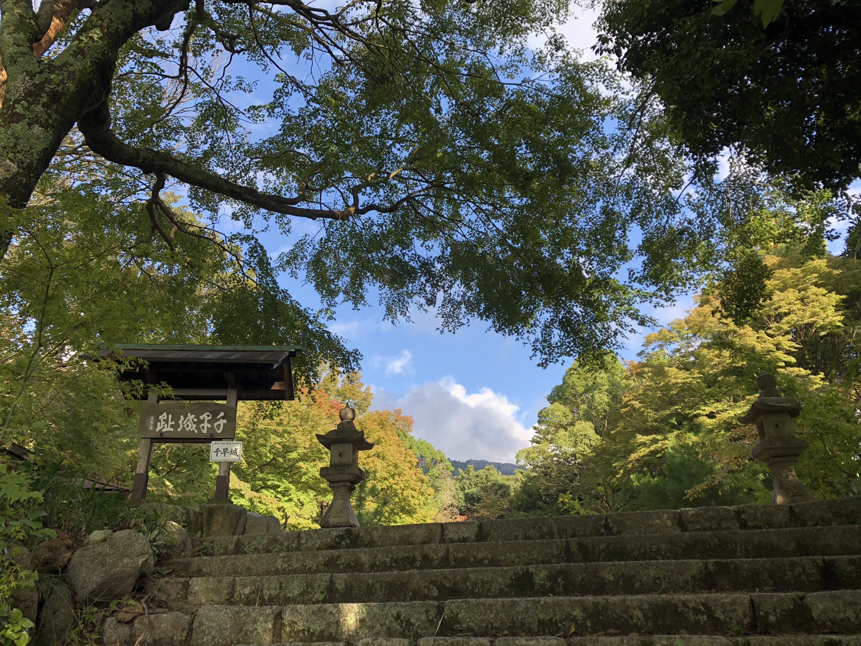 金剛山 初心者コース 19 10 26 ゆーさんの金剛山 二上山 大和葛城山の活動データ Yamap ヤマップ