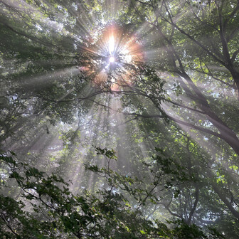 さくさくのページ YAMAP / ヤマップ