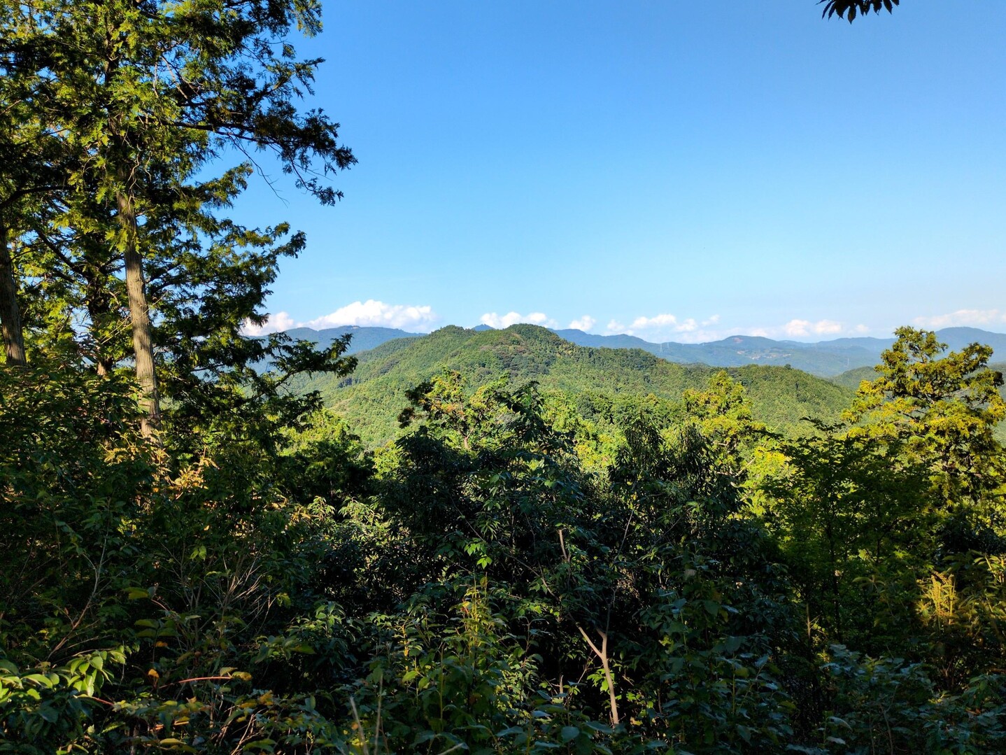 石尊山・官ノ倉山・不動沢の頭・烏森山（虚空蔵山）・天ノ峰・臼入山（細窪山） / ミィ1126さんの官ノ倉山の活動データ | YAMAP / ヤマップ