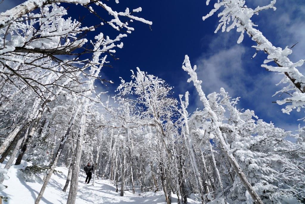 晴れよ来い 蓼科山 八ヶ岳ブルーと霧氷 樹氷の大展望 Yamanekoさんの蓼科山 横岳 縞枯山の活動データ Yamap ヤマップ