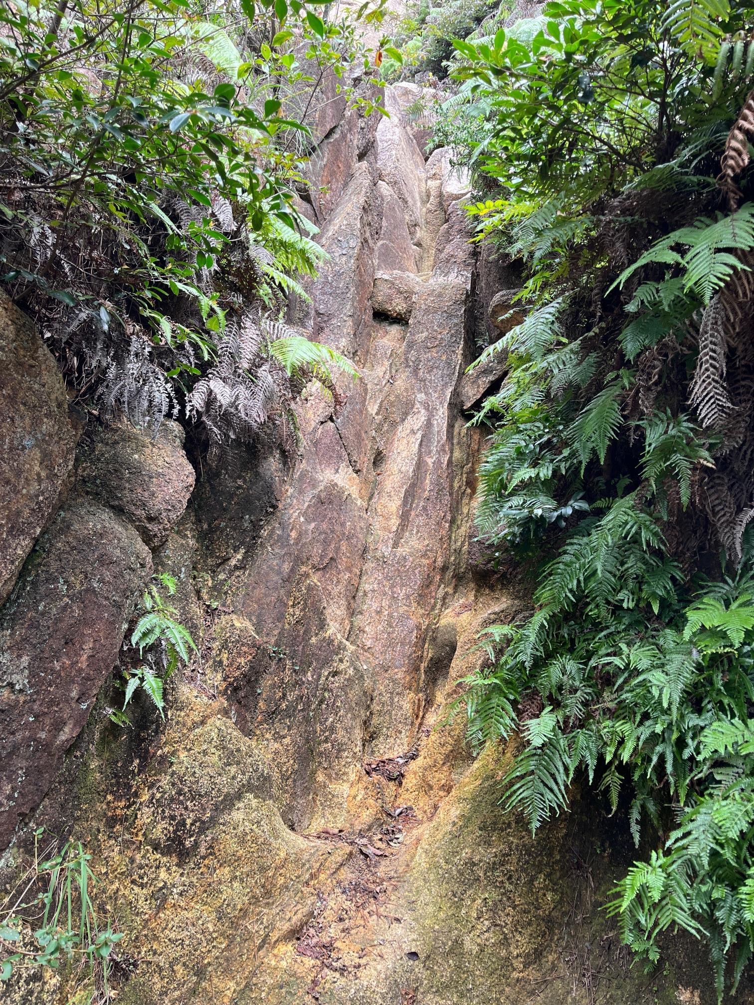 荒地山〜念願の岩梯〜 / リブ口〜スさんの六甲山・長峰山・摩耶山の活動データ | YAMAP / ヤマップ