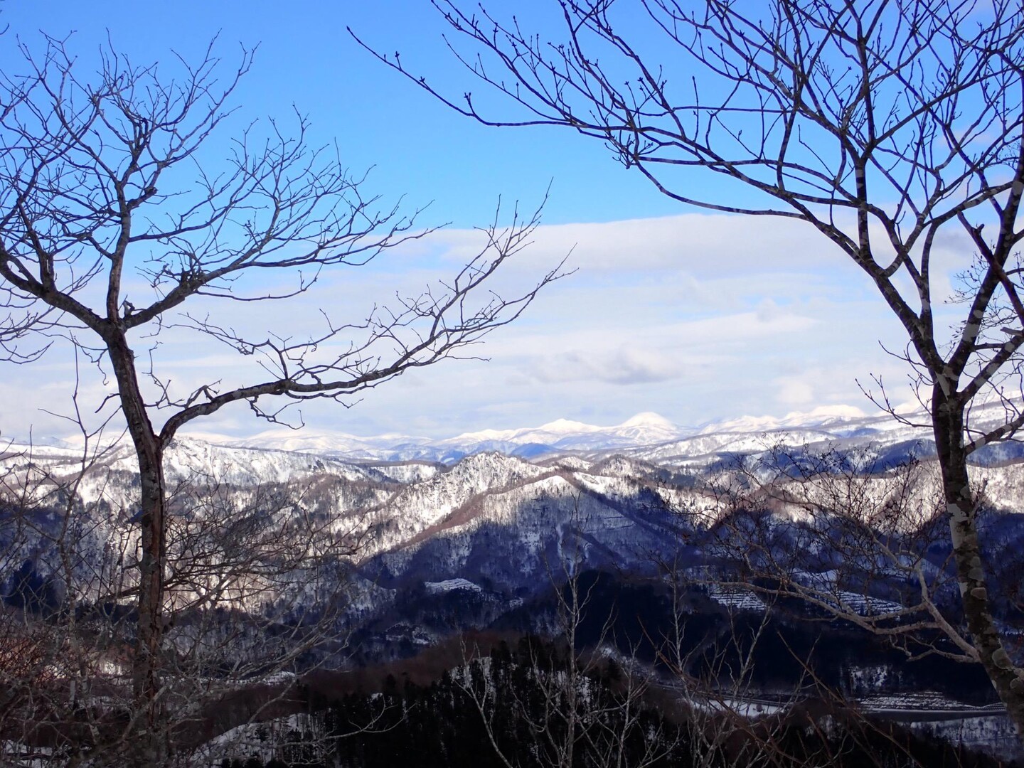 幌扶斯山&貯金山 / アナベルさんの礼文華峠の活動データ | YAMAP / ヤマップ