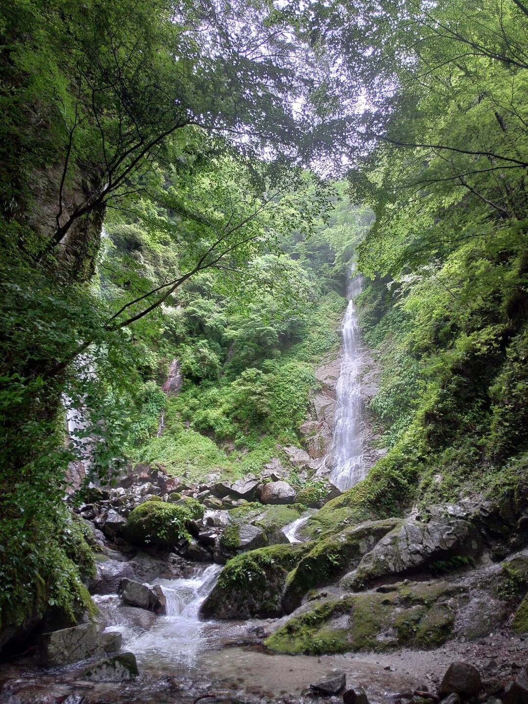 畦ヶ丸山・モロクボ沢ノ頭・バン木ノ頭・シャガクチ丸・ナメクラ沢ノ頭・水晶沢ノ頭 / pafzawaさんの塔ノ岳・丹沢山・蛭ヶ岳の活動データ