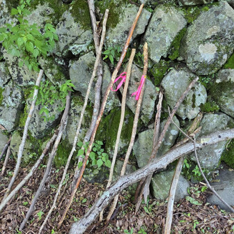 よく頑張ってくれた相棒たち…
記念に「活動の装備」にも登録しておいた
君たちを忘れることは決してないだろう