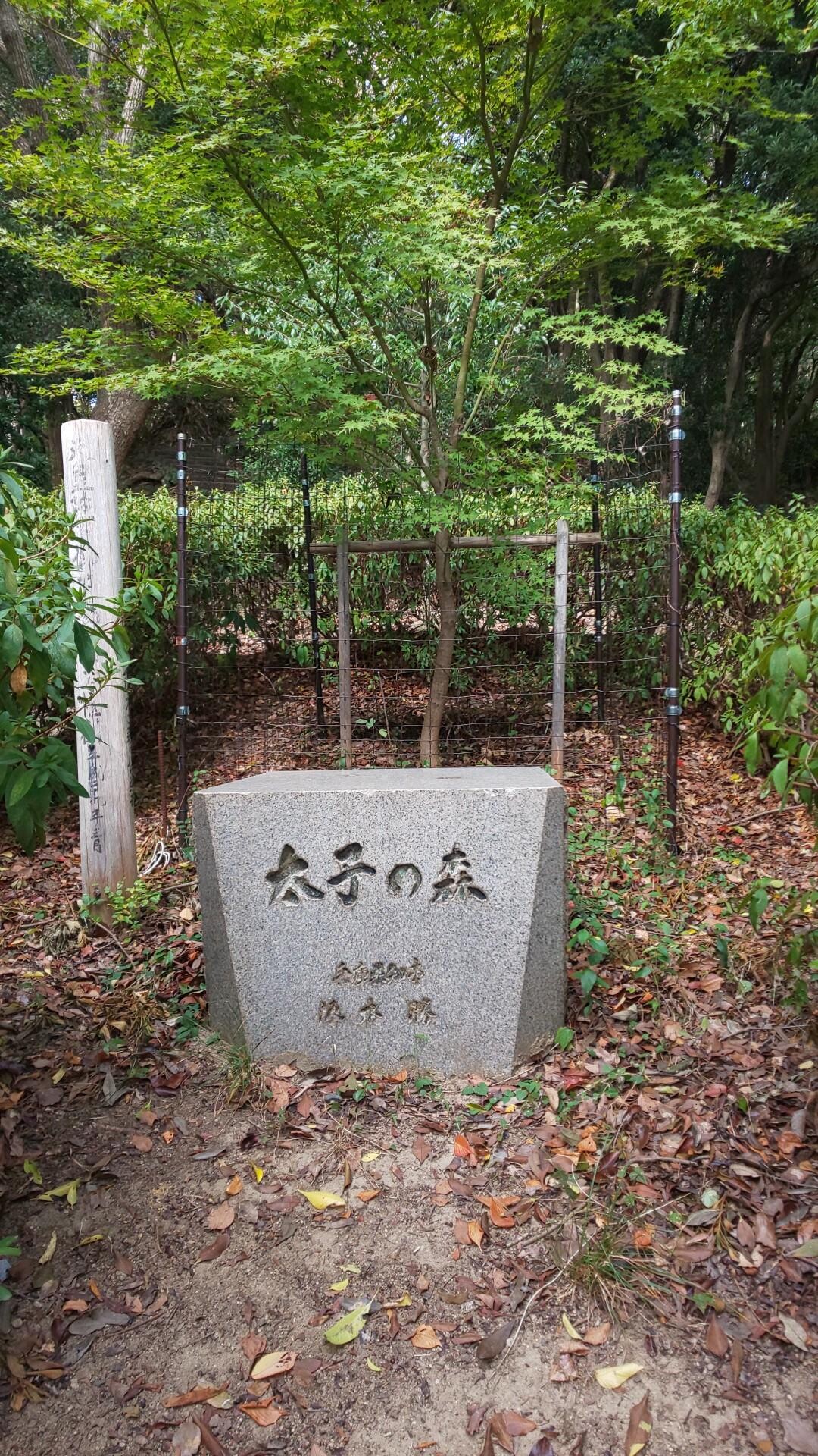 城山・堂徳山・市章山・錨山 / 六甲山・長峰山・摩耶山の写真20枚目 YAMAP / ヤマップ