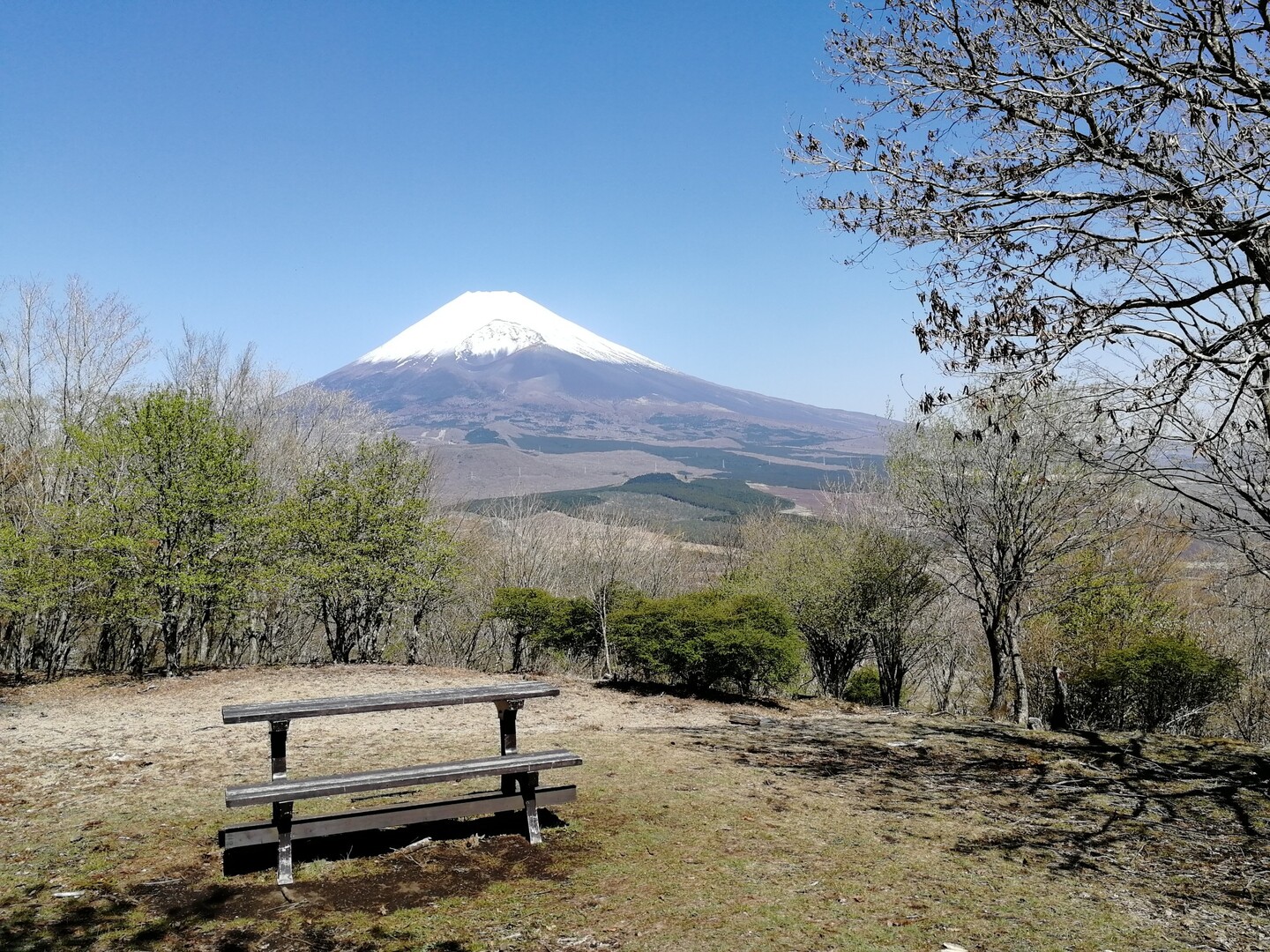 黒岳 静岡県 の最新登山情報 人気の登山ルート 写真 天気など Yamap ヤマップ