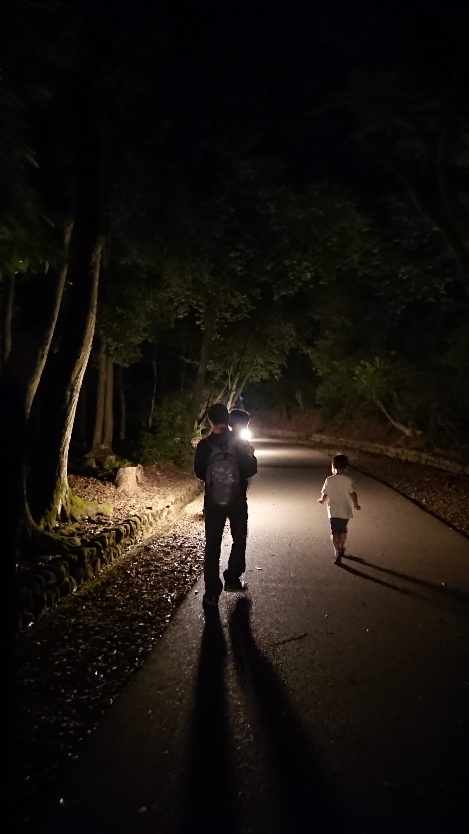 若草山 奈良奥山ドライブウェイ ちーさんさんの奈良市 東エリア の活動日記 Yamap ヤマップ
