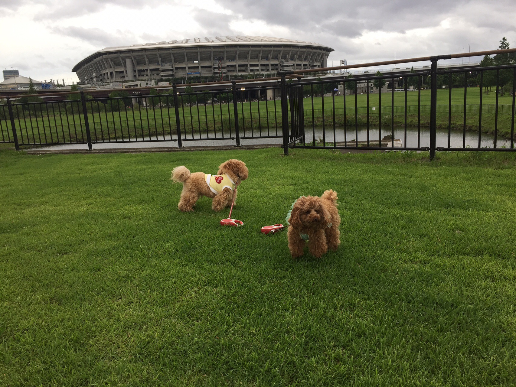 0704 日産スタジアムなら雨でもお散歩大丈夫 れんぱぱさんのウォーキングの活動日記 Yamap ヤマップ