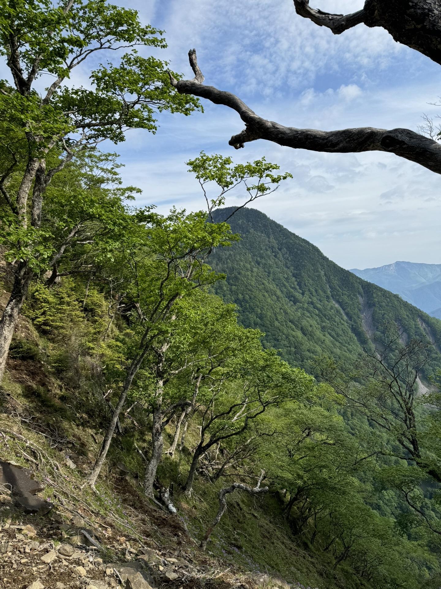 皇海山・袈裟丸山・庚申山 皇海山　どんどん近くなります。
