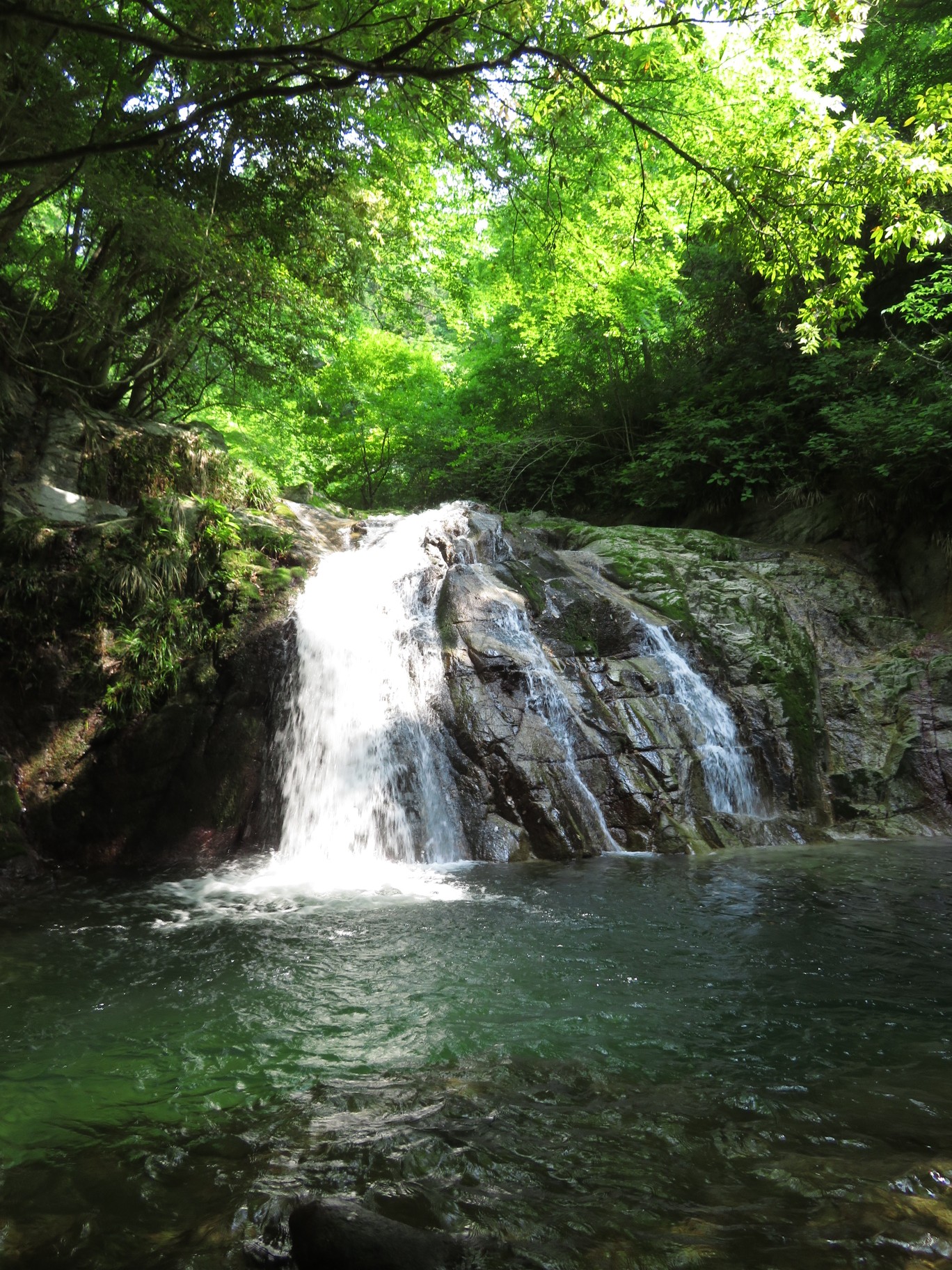滝壺ダイブ 汐見滝 花貫渓谷 06 06 あだ名さんの土岳 花貫渓谷 竪破山の活動データ Yamap ヤマップ
