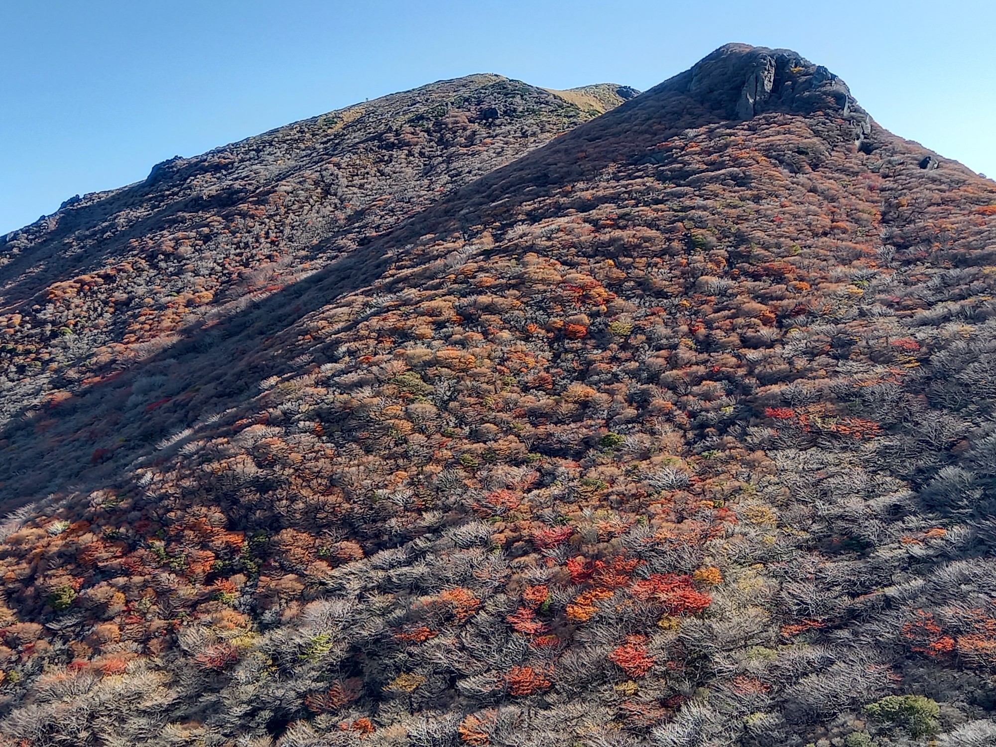 紅葉終わりの久住 うるるさんの九重山 久住山 大船山 星生山の活動データ Yamap ヤマップ