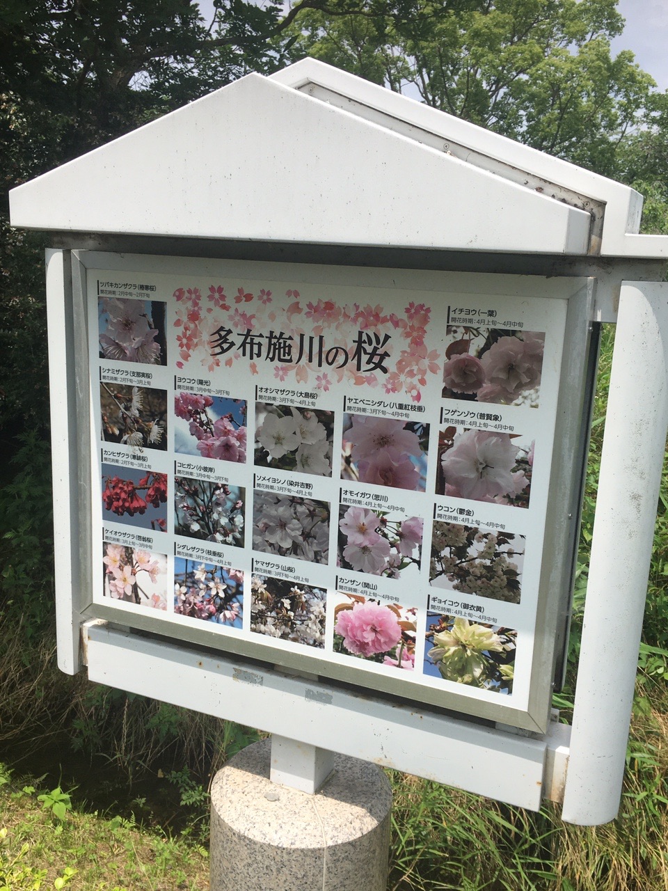 多布施川（佐賀市）風景画アクリル絵の具