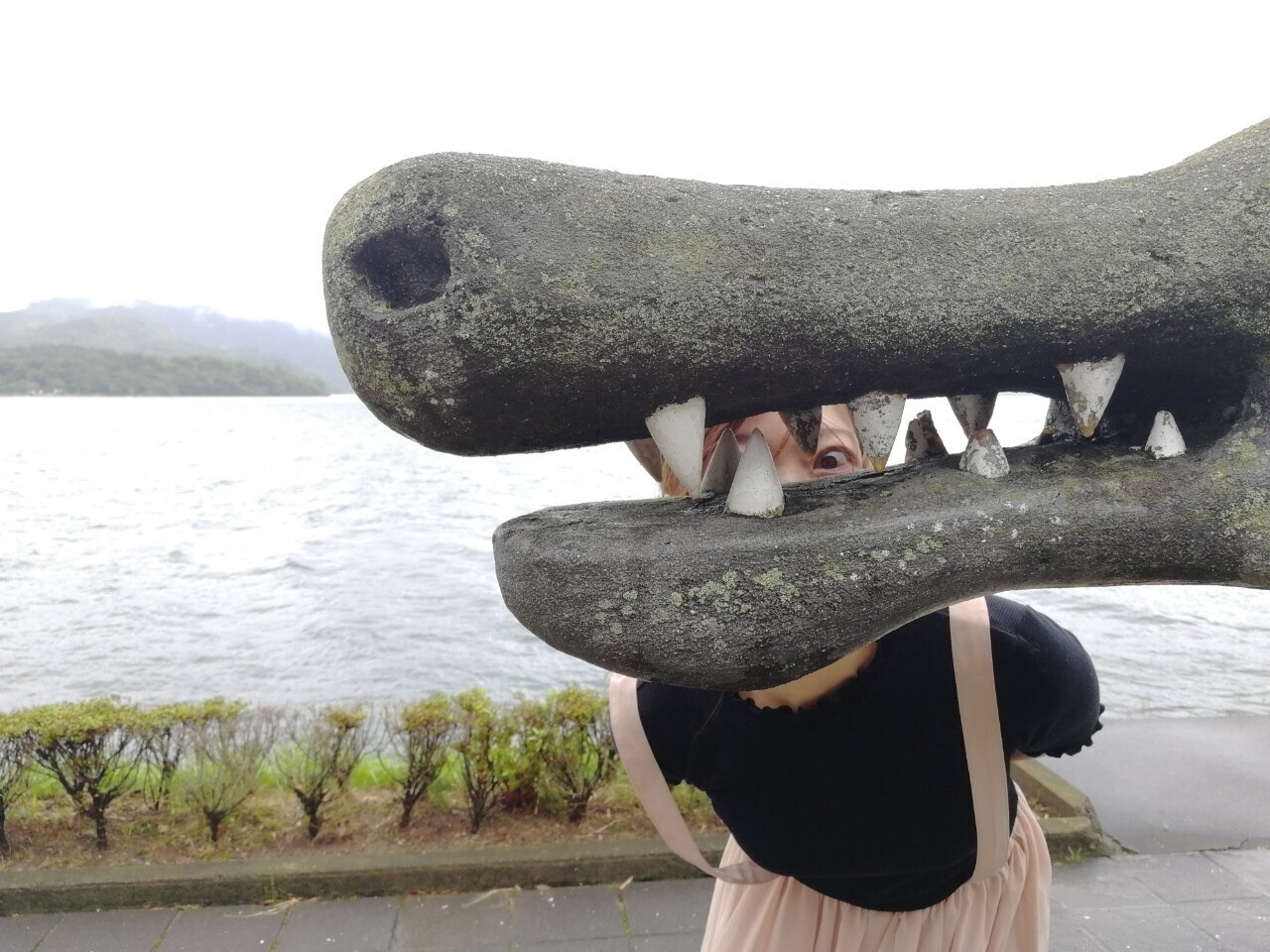 鹿児島よかとこ南薩摩観光篇 あちゃさんの磯間嶽の活動日記 Yamap ヤマップ