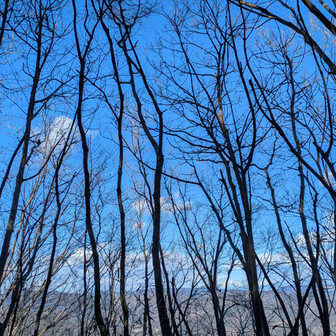 両崖山・仙人ヶ岳・石尊山 冬のよさ