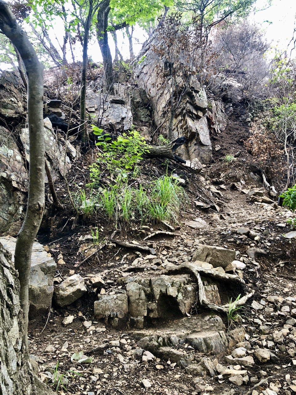 両崖山・仙人ヶ岳・石尊山 天狗山山頂直下の岩場