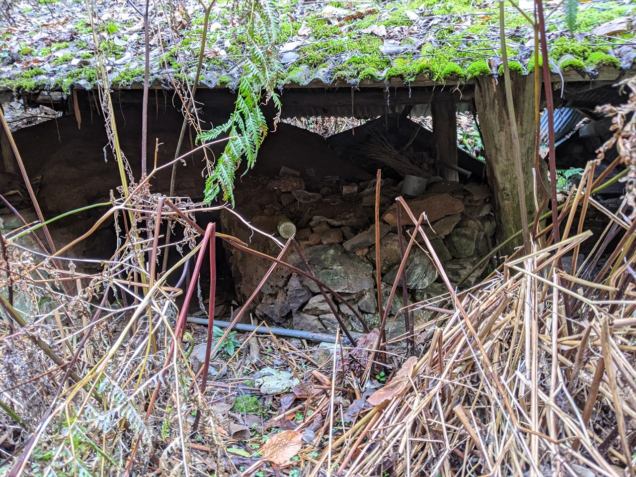 犬鳴御別館跡 ヒマワリとヒルガオさんの犬鳴山 福岡県 西山 鮎坂山 の活動データ Yamap ヤマップ