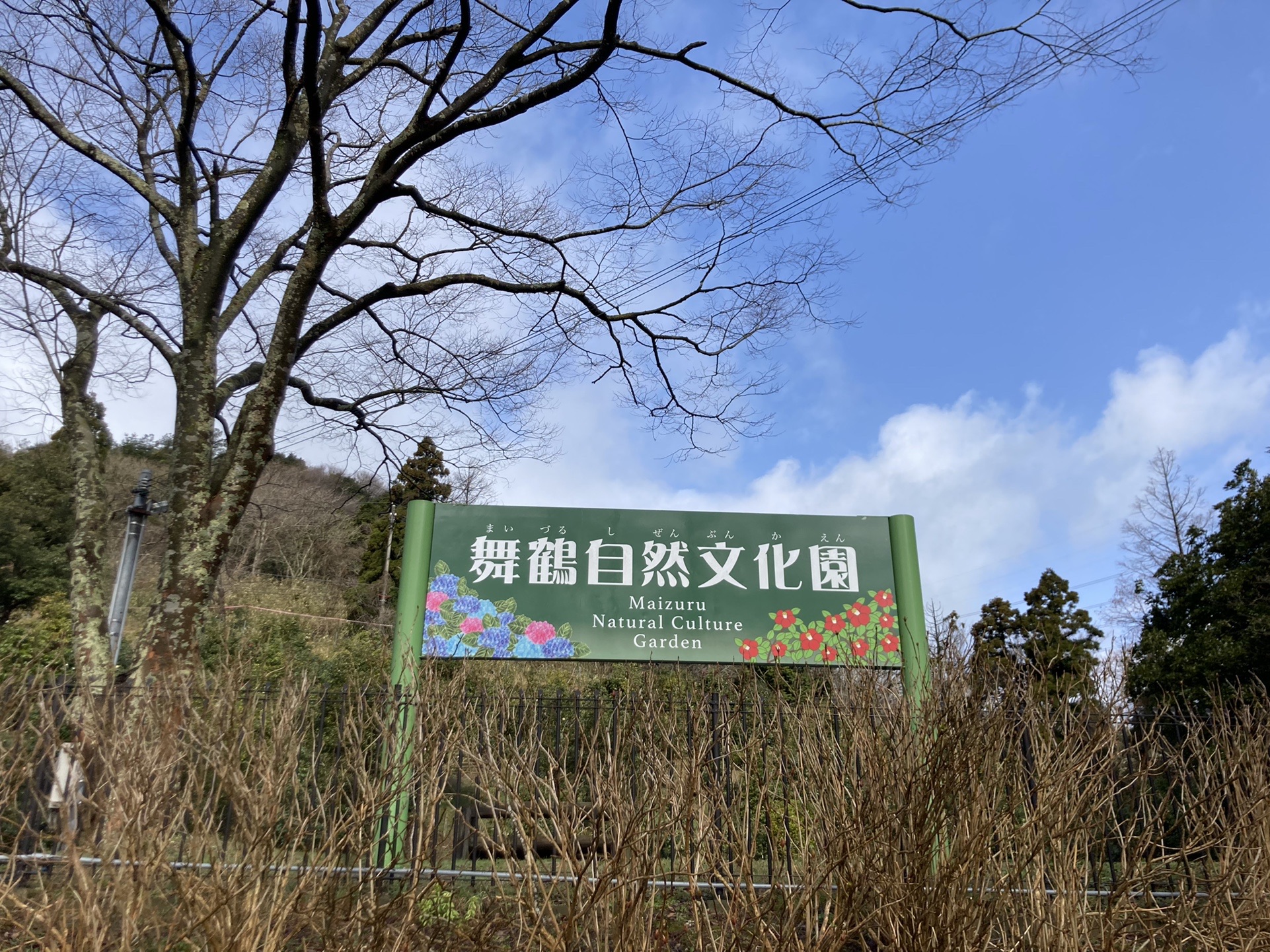 舞鶴にツバキ目当てで Let Sドライブ ウォーキング Mon21さんの多祢山 空山の活動日記 Yamap ヤマップ