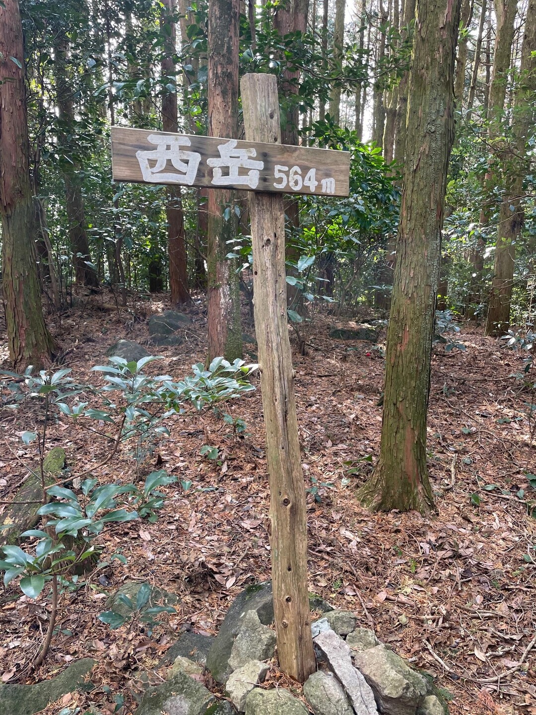 西岳・隠居岳 / mikky13さんの隠居岳の活動データ YAMAP / ヤマップ