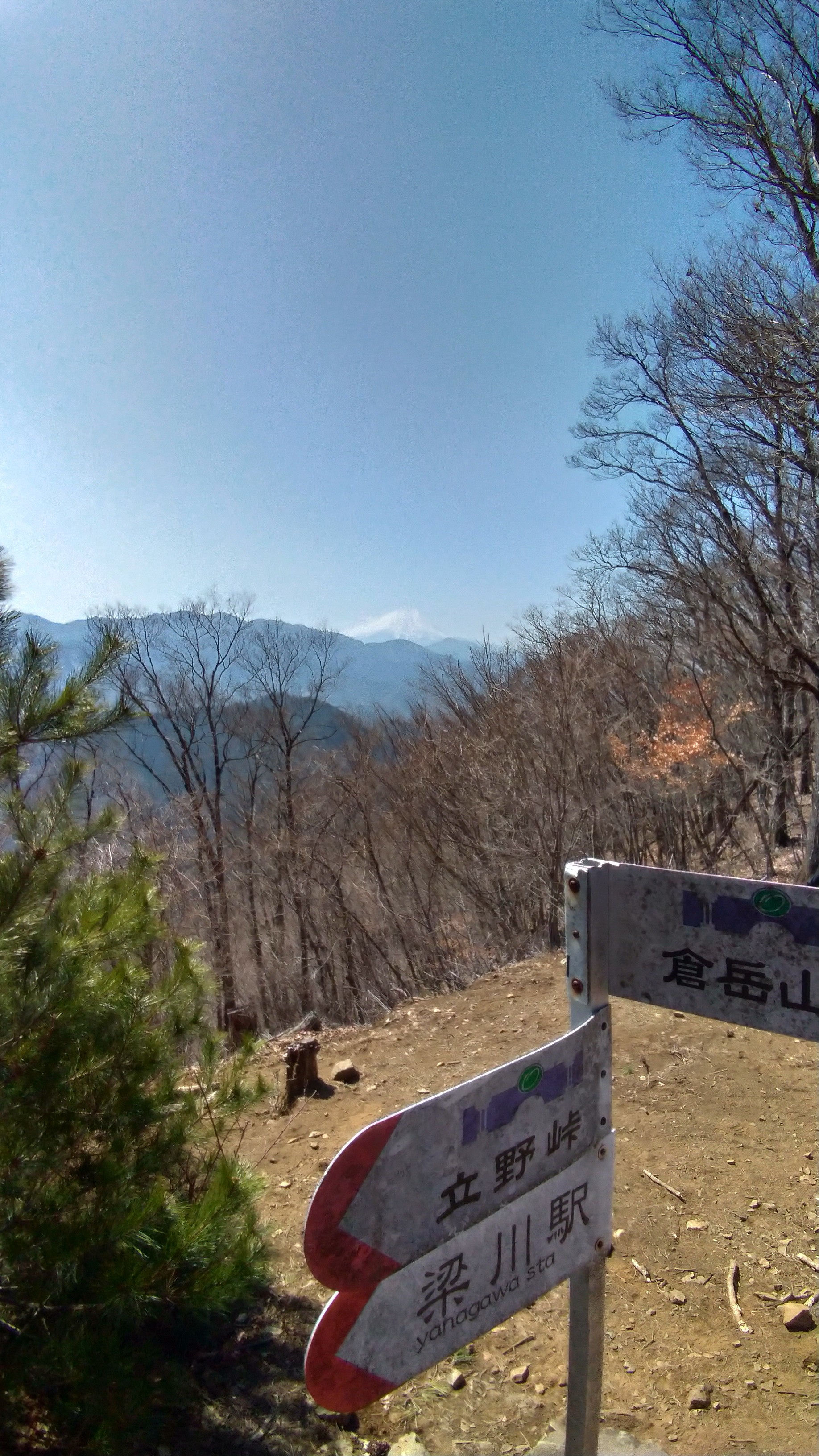 倉岳山 / yabさんの倉岳山・高畑山・九鬼山の活動日記 YAMAP / ヤマップ