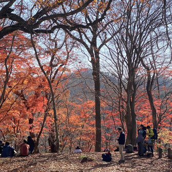 最近登山にハマりそうになってる同僚に教えてあげよう。