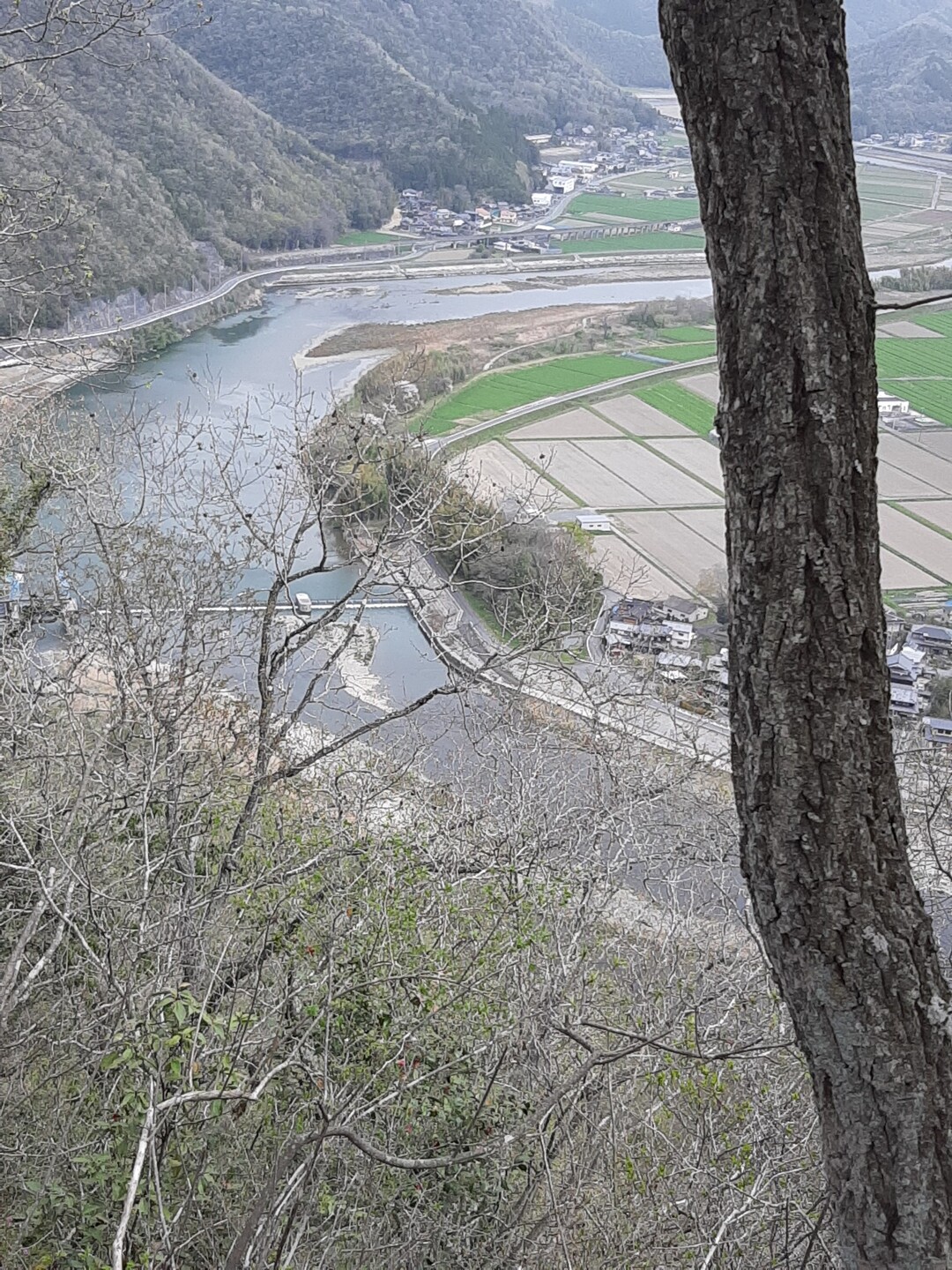 岩木の大山桜はコレだ 生駒山 大鳥山 鍛治山 舟谷山 鳳凰山 岩木山 一本松 大観峰 小美女平 羽山 まるさんさんの上郡アルプス 生駒山の活動日記 Yamap ヤマップ