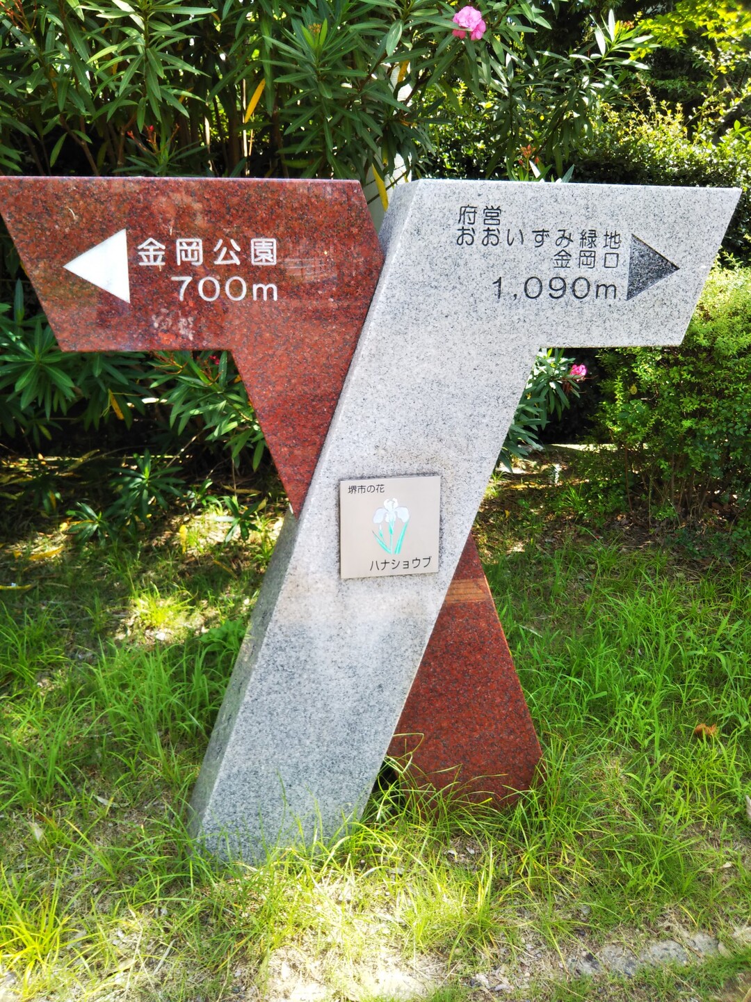 大泉緑地 樹のみち ｳｵｰｷﾝｸﾞ Kanbi さんの堺市の活動日記 Yamap ヤマップ