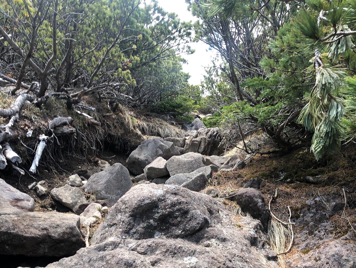 上をみても まだ、まだって感じしかない　泣