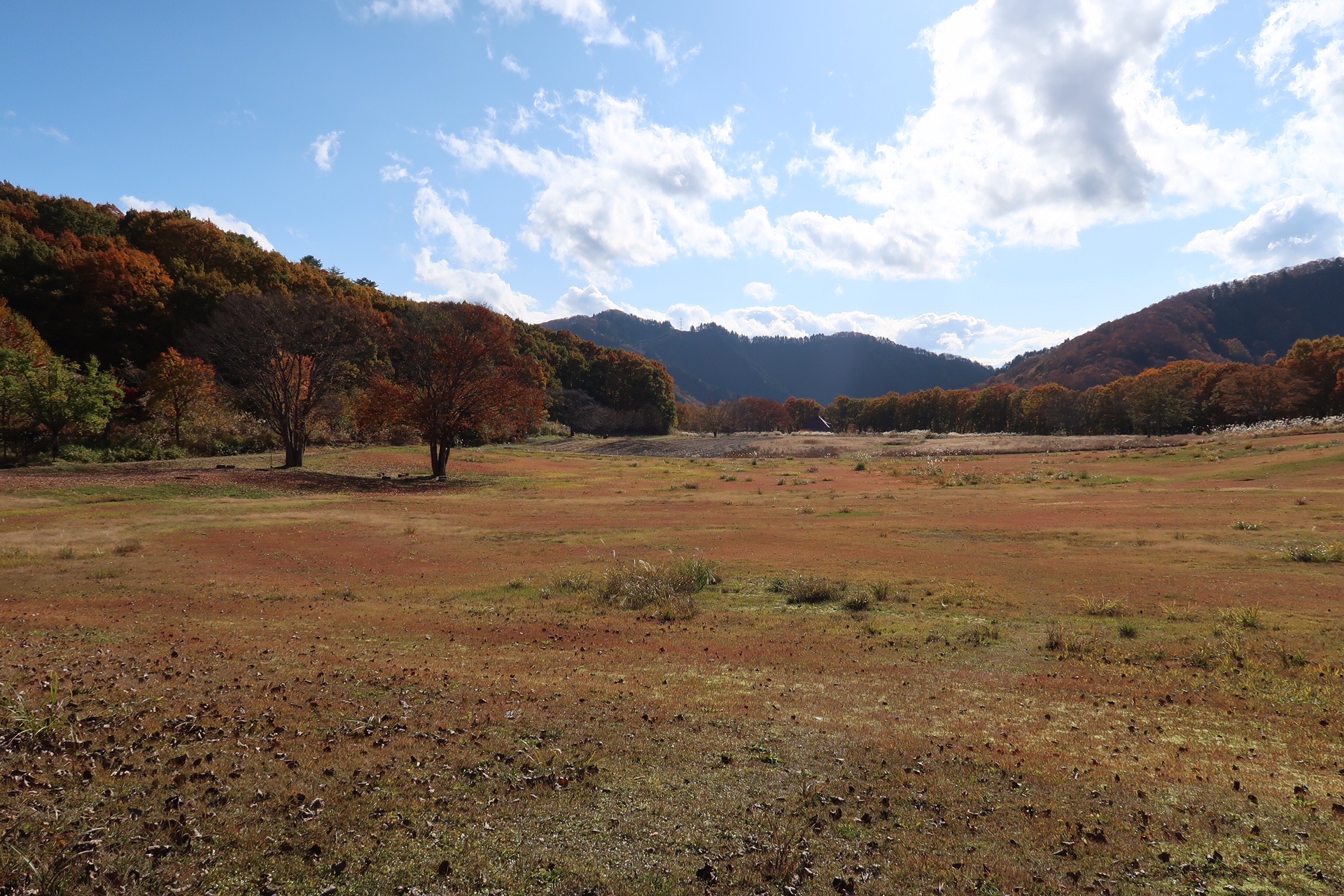 三坂山 うつくしま百名山 To Yoshi よしだ さんの志津倉山の活動データ Yamap ヤマップ
