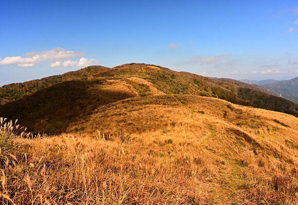 大谷山（福井県三方郡美浜町）の最新登山情報 / 人気の登山