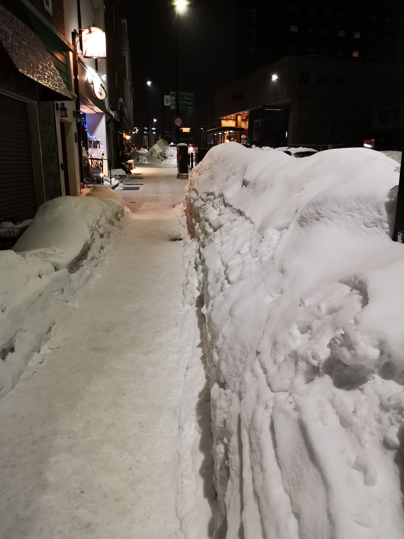 弘前城雪灯籠祭 19 ノースロードさんの弘前市の活動日記 Yamap ヤマップ
