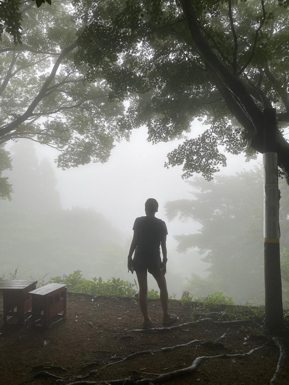 カオのページ YAMAP / ヤマップ