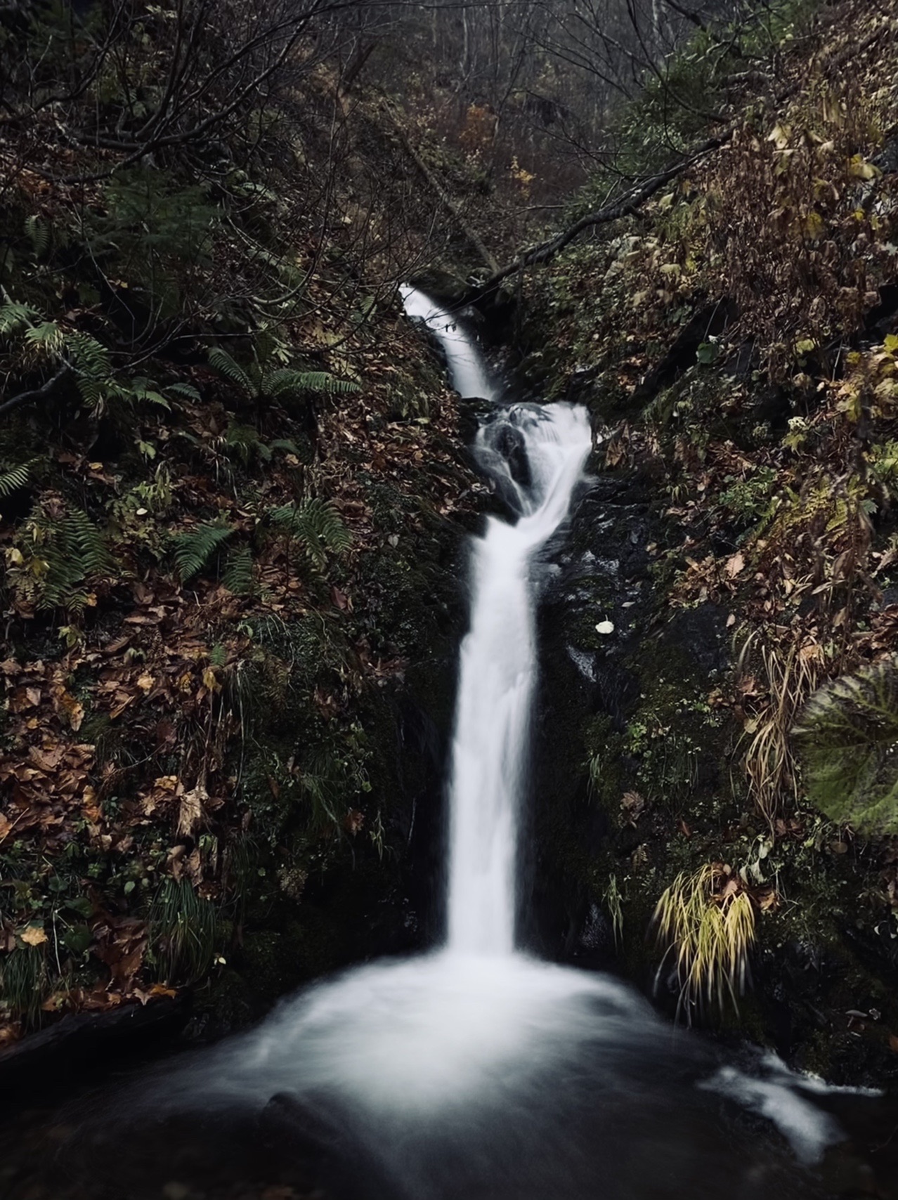 定山渓天狗岳 今日の天狗 滝 滝 滝の連続を越えて Kurodake さんの余市岳 定山渓天狗岳の活動データ Yamap ヤマップ