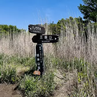 着きました🎉
鉄炮木ノ頭(明神山)1291m
