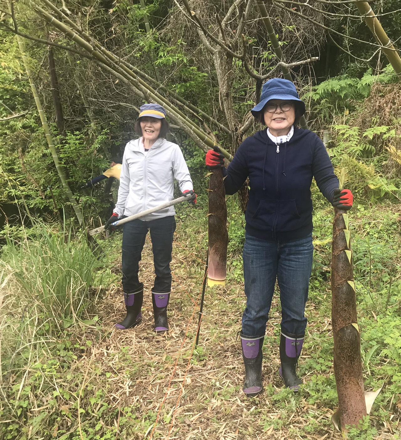 農業体験 初めてのタケノコ掘り 19 05 01 なでしこさんの呉市 西エリア の活動日記 Yamap ヤマップ