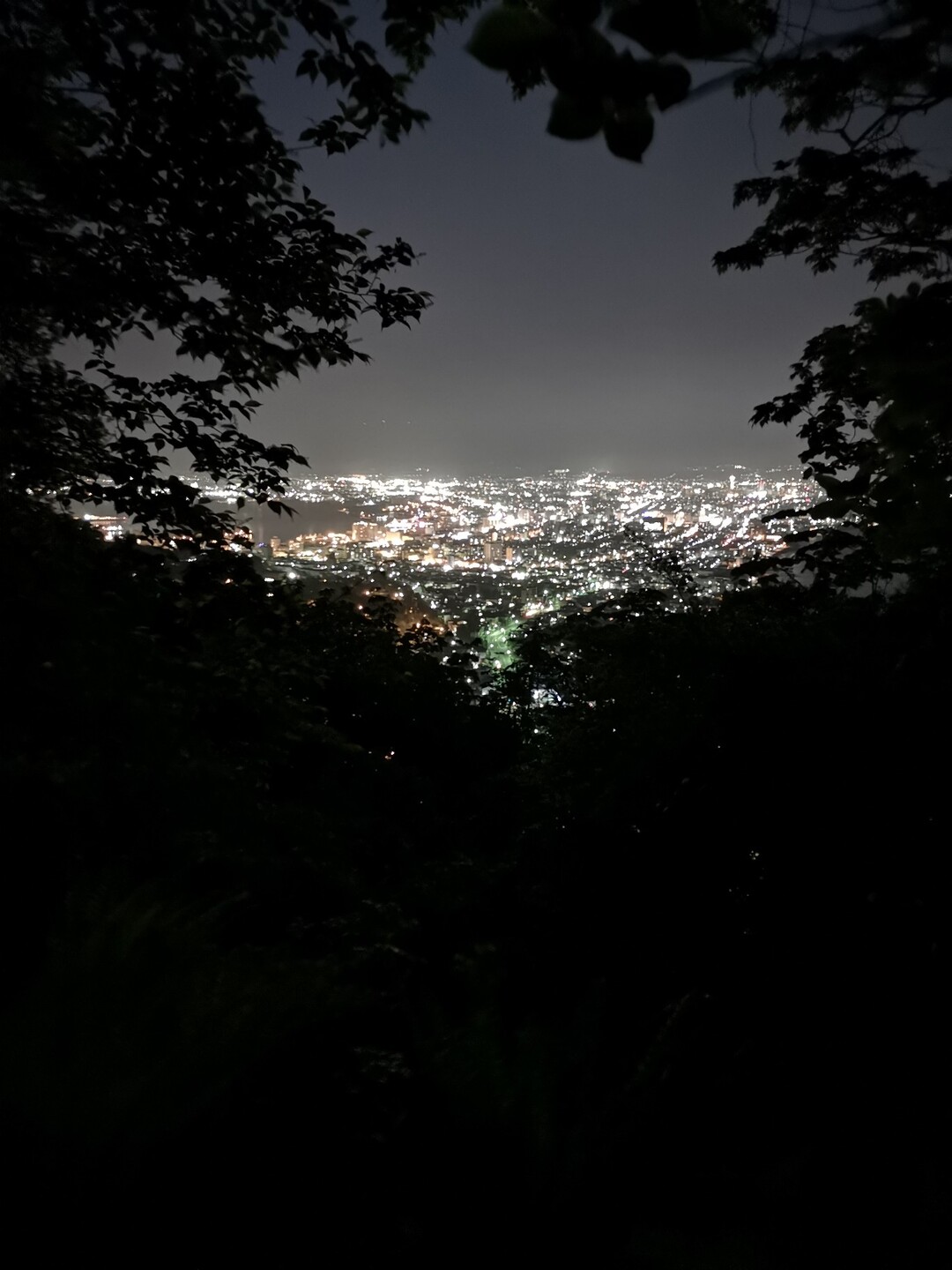 函館山 立待岬からの登山道夜編 函館山の写真10枚目 途中からは函館の夜景 心なしかハート Yamap ヤマップ