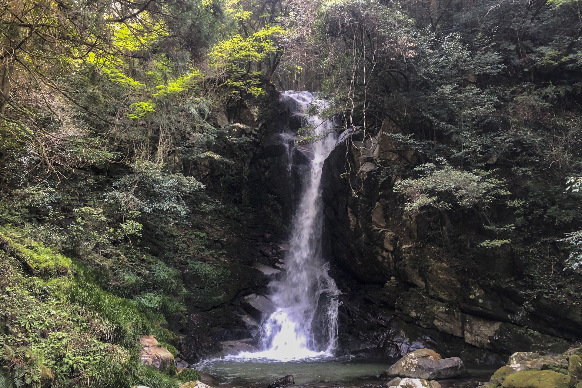 坊主ヶ滝 金山 花乱の滝 ひろしさんの脊振山 金山の活動データ Yamap ヤマップ