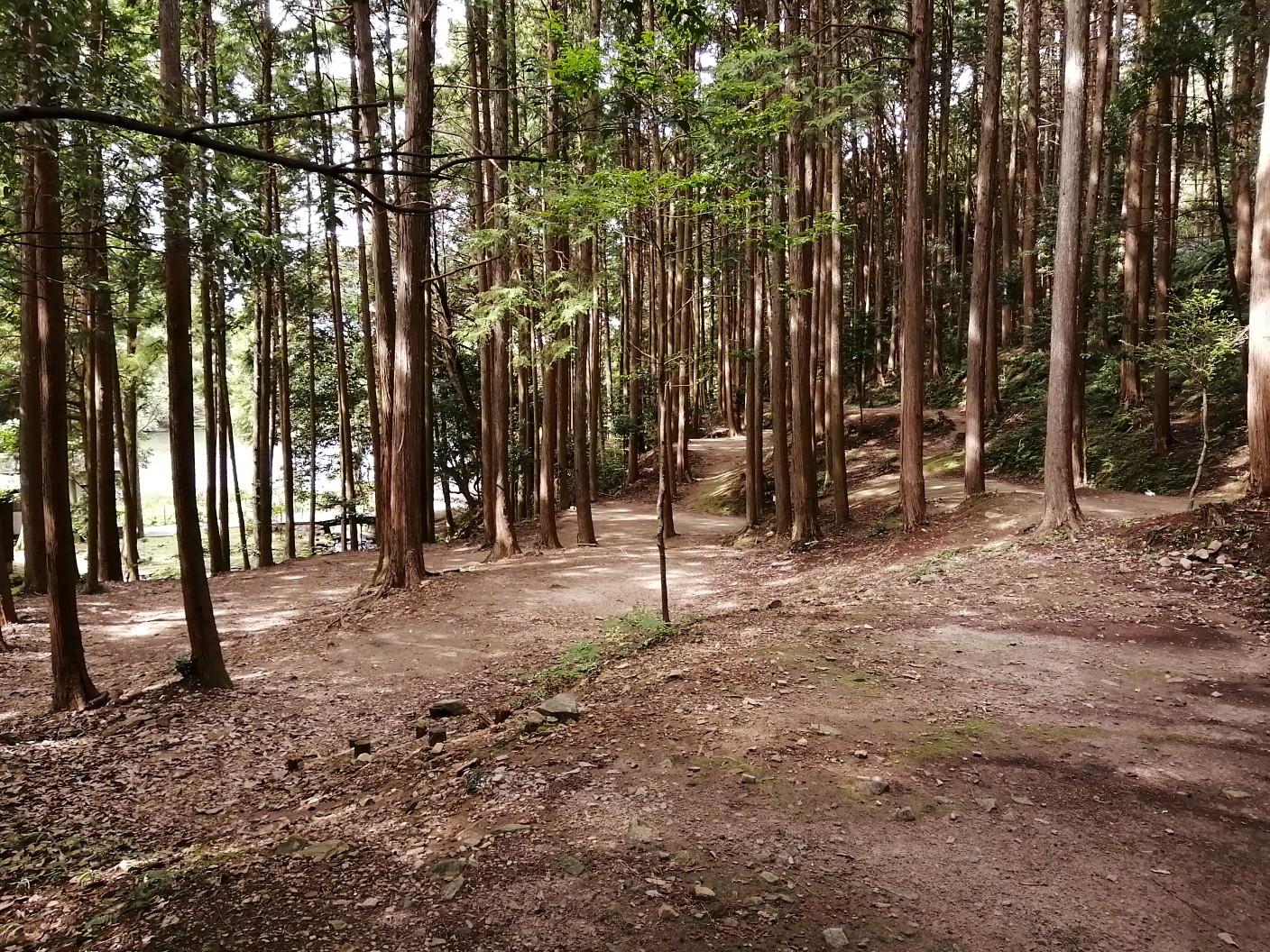 里山トレッキング、桑谷山・遠望峰山・聖山 / レオナ11さんの遠望峰山 