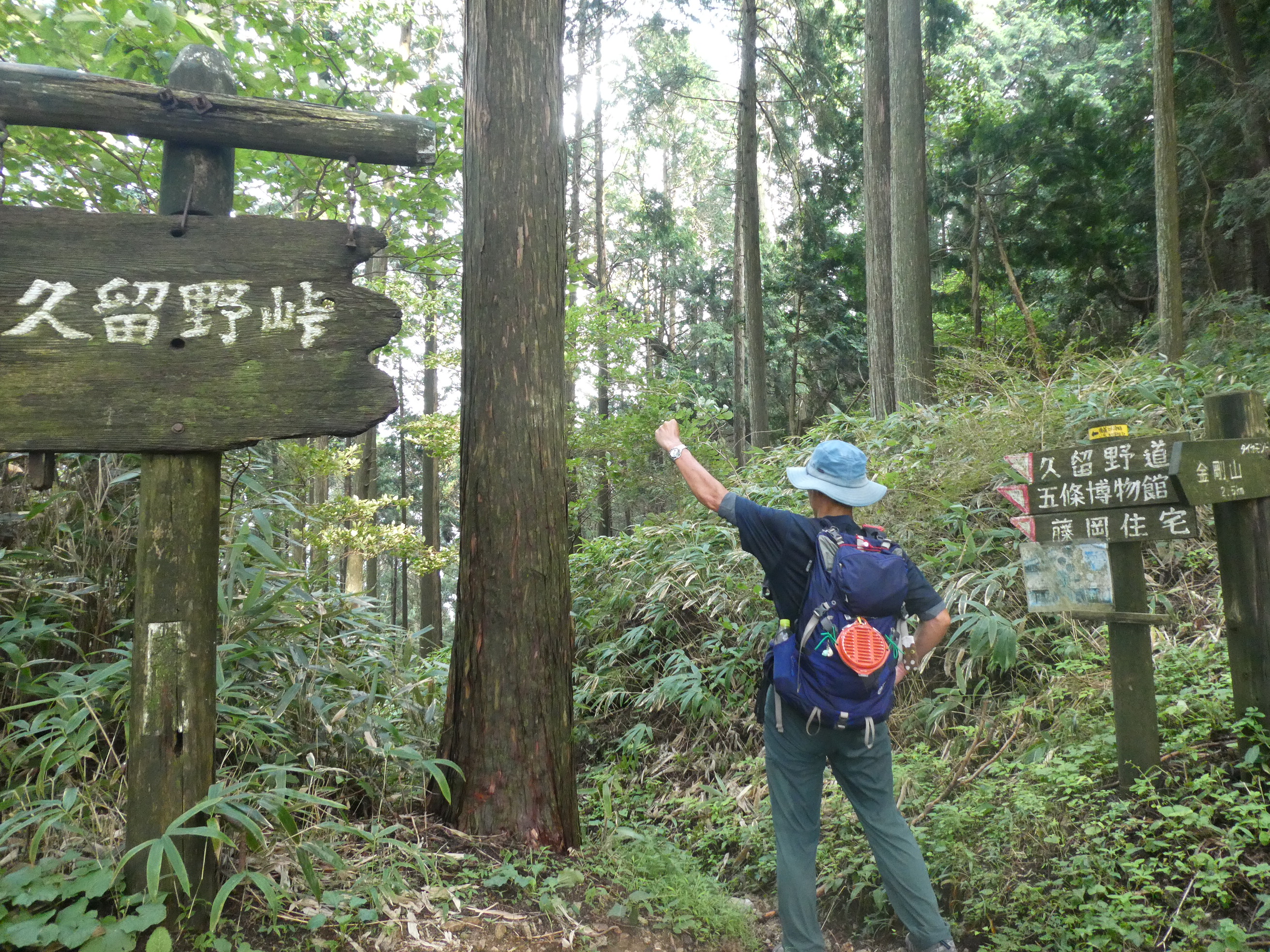 金剛山 139回目 細尾谷 久留野道 とんとんさんの金剛山 二上山 大和葛城山の活動データ Yamap ヤマップ