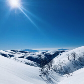 おたまじゃくし